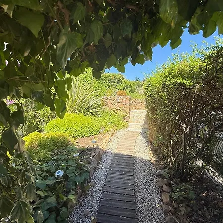 Apartment Climatise Avec Terrasse Au Calme - *